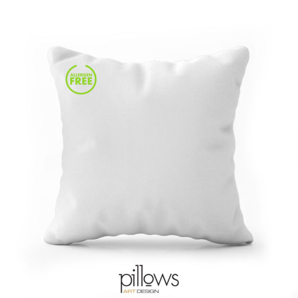 pillows parnabelso 50x50 antiallergen 001