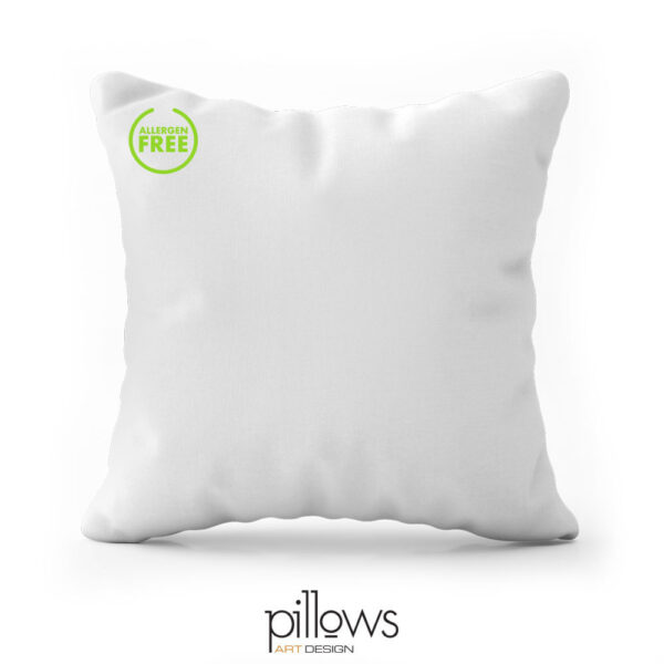 pillows parnabelso 55x55 antiallergen 001